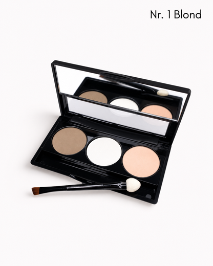 Professional Eyebrow Kit